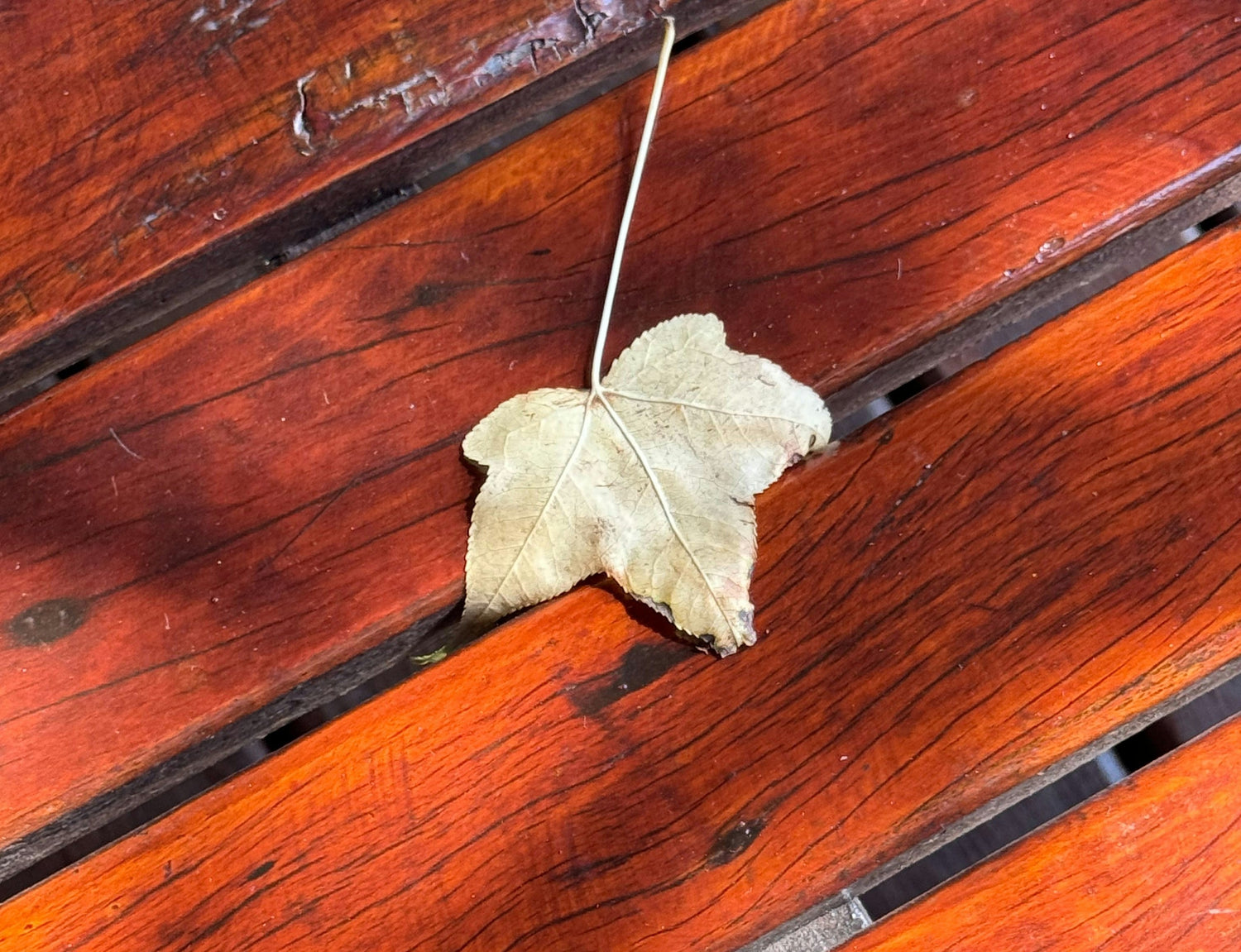 How to Protect and Maintain Outdoor Wood Furniture for Long-Term Durability