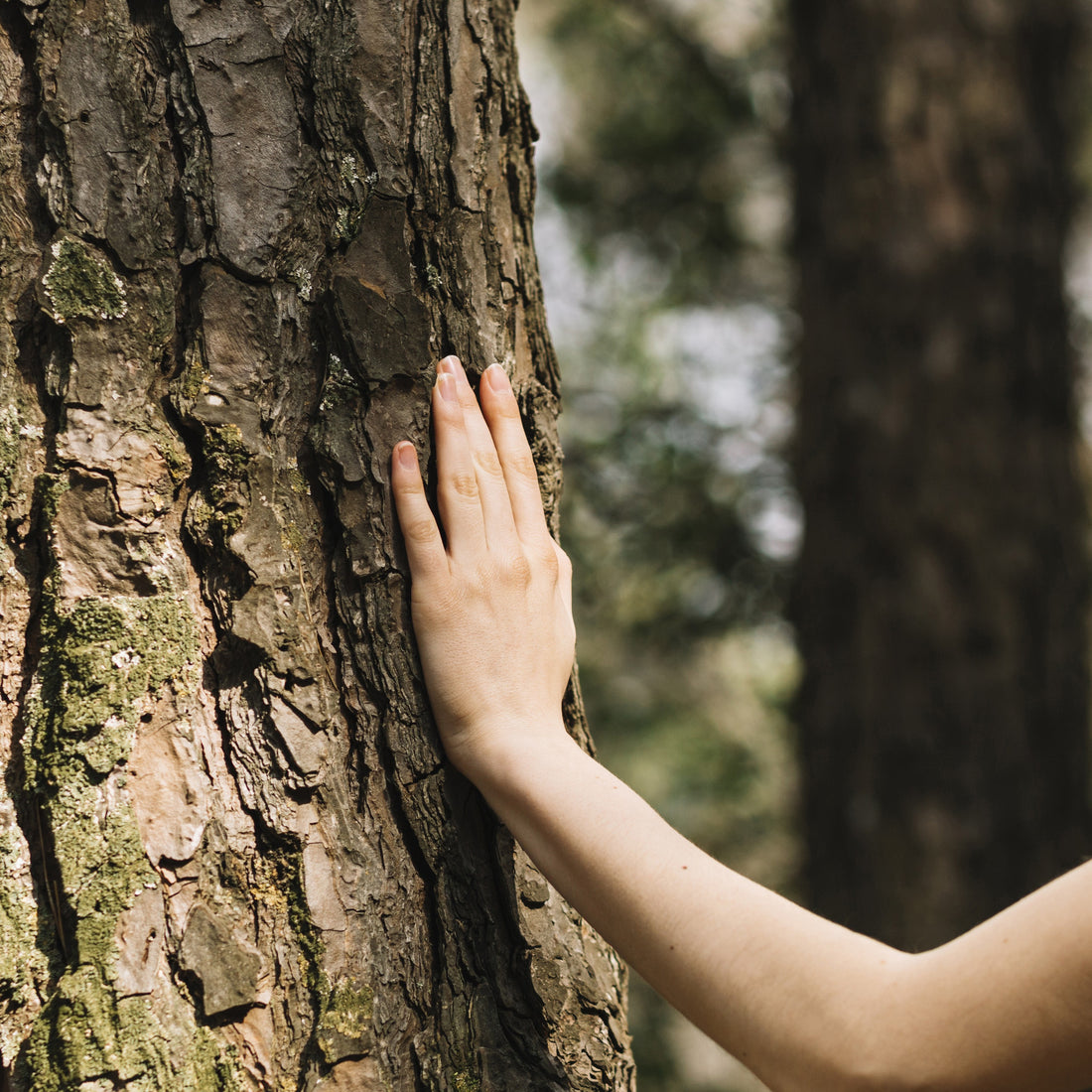 Continues with responsibility